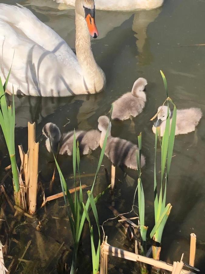 Selská chalupa Anetka Horsovsky Tyn Exterior foto