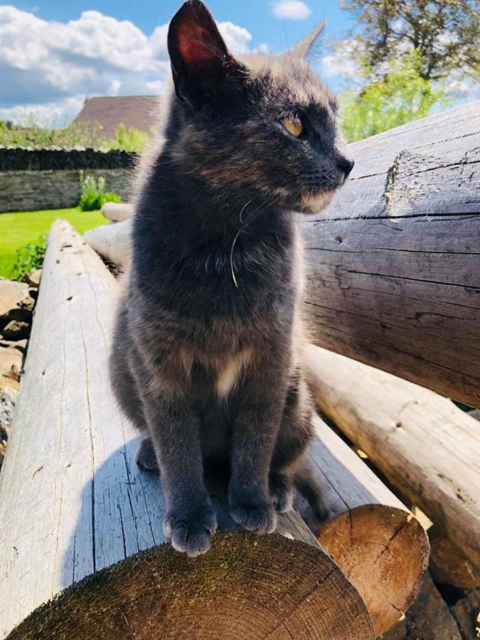 Selská chalupa Anetka Horsovsky Tyn Exterior foto